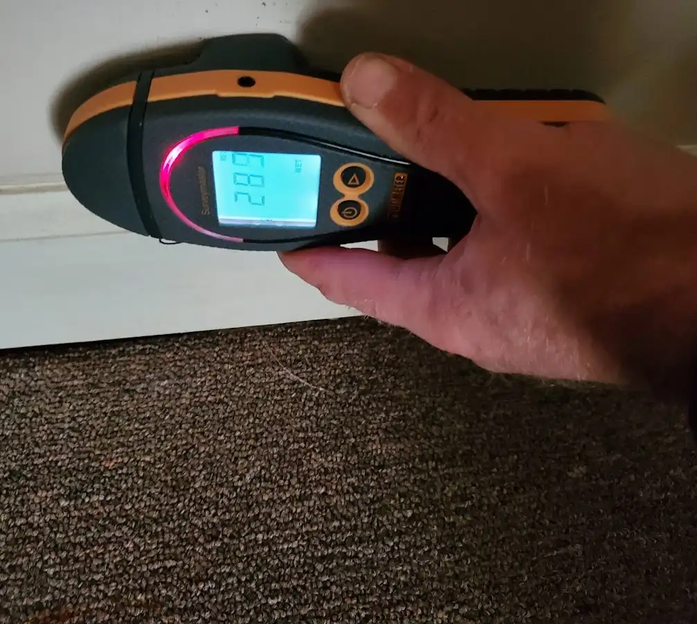 Moisture detection at baseboard during Mold Inspection & Testing in Maryland City